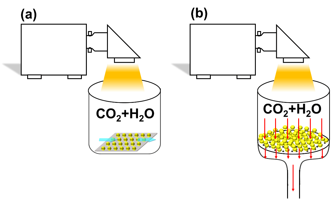 图1. 薄膜气相反应模式（a）和固定床气相反应模式（b）